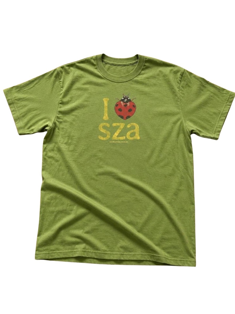 Kiwi Green Ladybug Graphic Tee